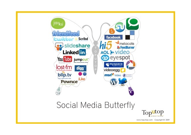 social media butterfly infograph